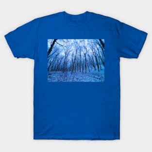 Blue Winter Forest T-Shirt